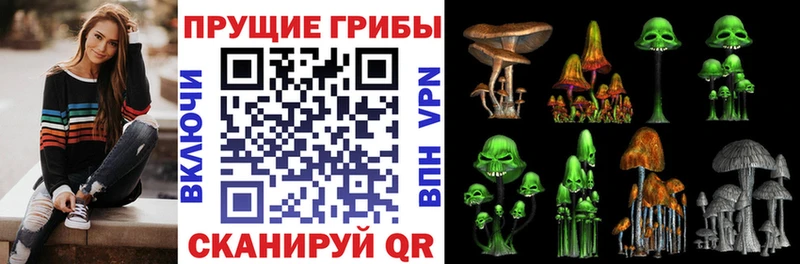 Псилоцибиновые грибы Magic Shrooms  где продают   мориарти наркотические препараты  Ржев 